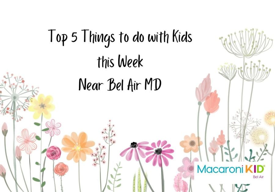 Top 5 Things to do with Kids 3.19.24