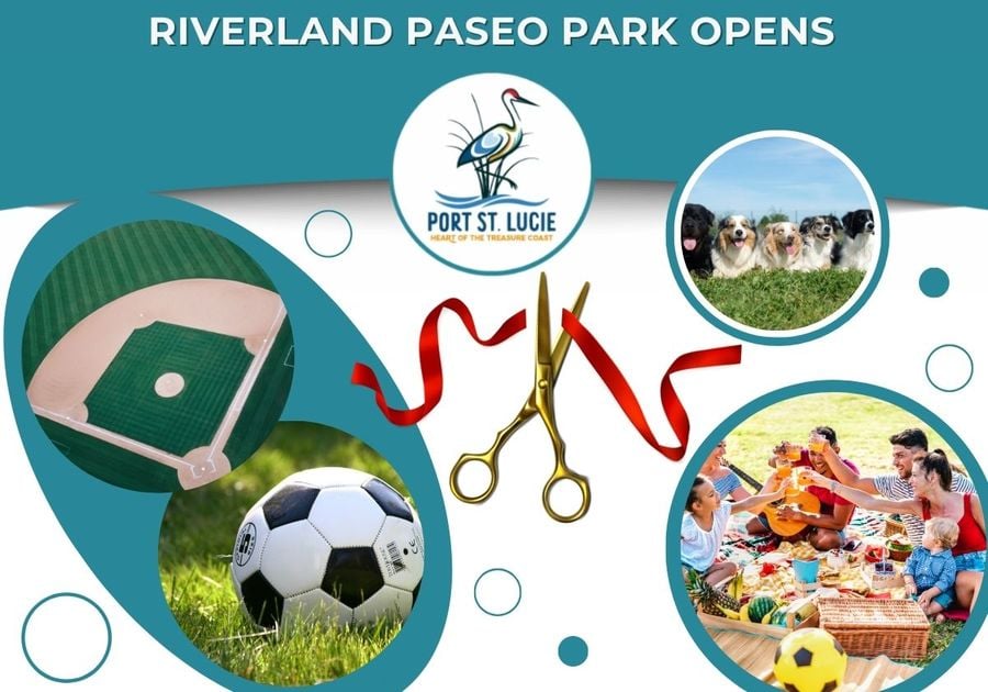 happenings at a park: soccer, baseball diamond, dogs at dog park, family picnic