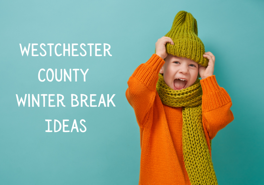 100 Ideas for things to do with kids in Westchester County during the winter break