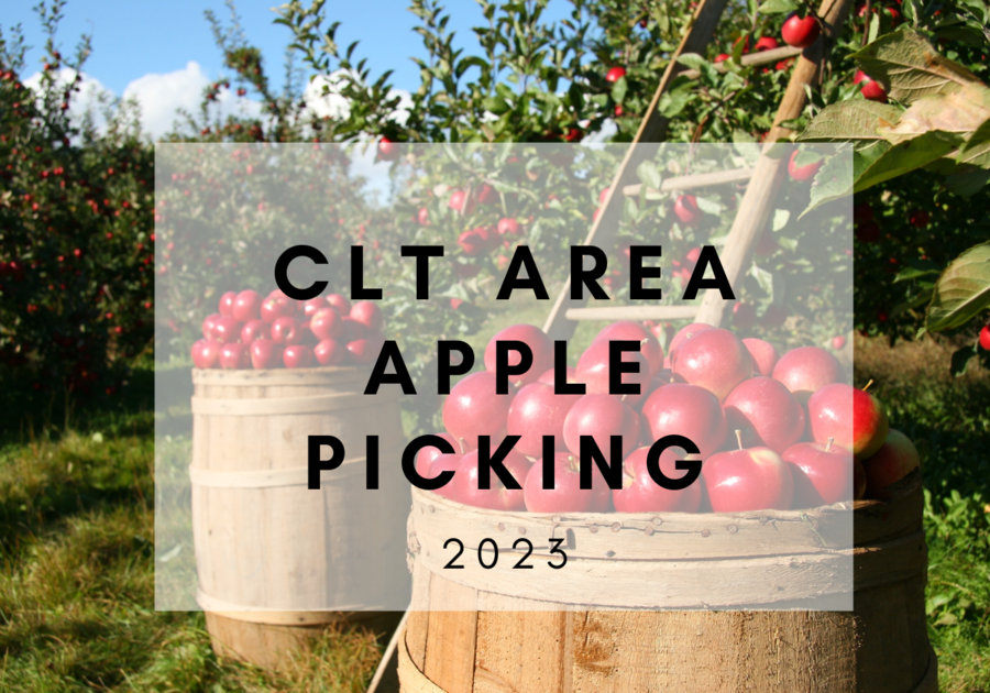 Apple Availability  Apple Hill Orchard & Cider Mill