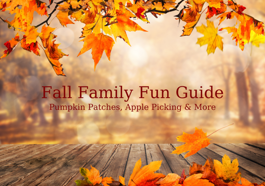 Family Fall Guide