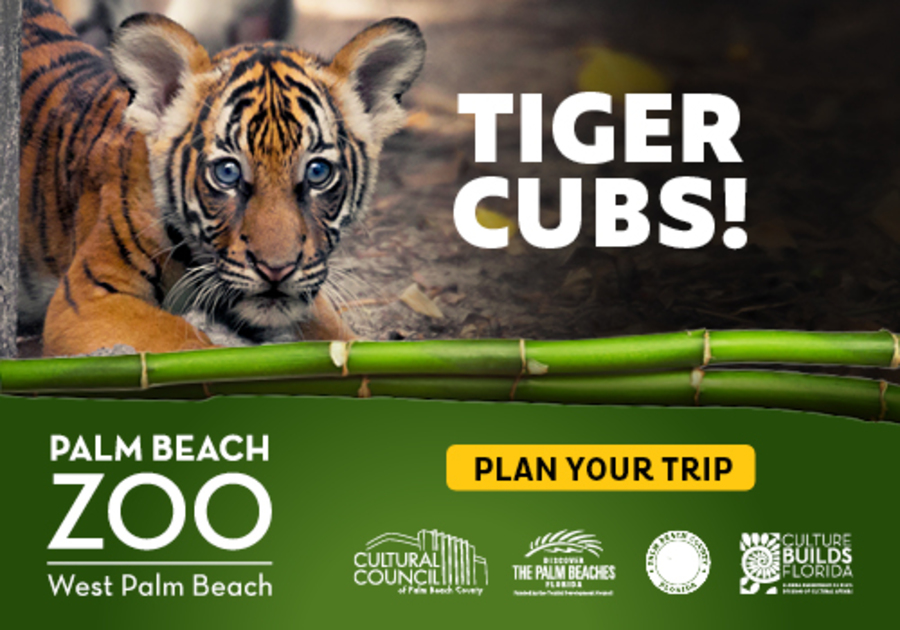 Palm Beach Zoo and Conservation Society