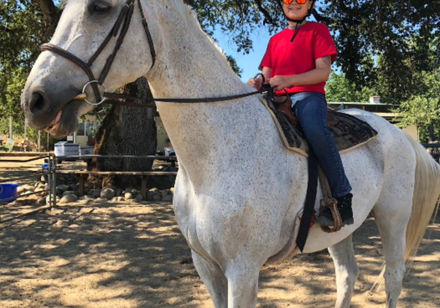 Equine Unlimited Inc. Horsemanship Camp