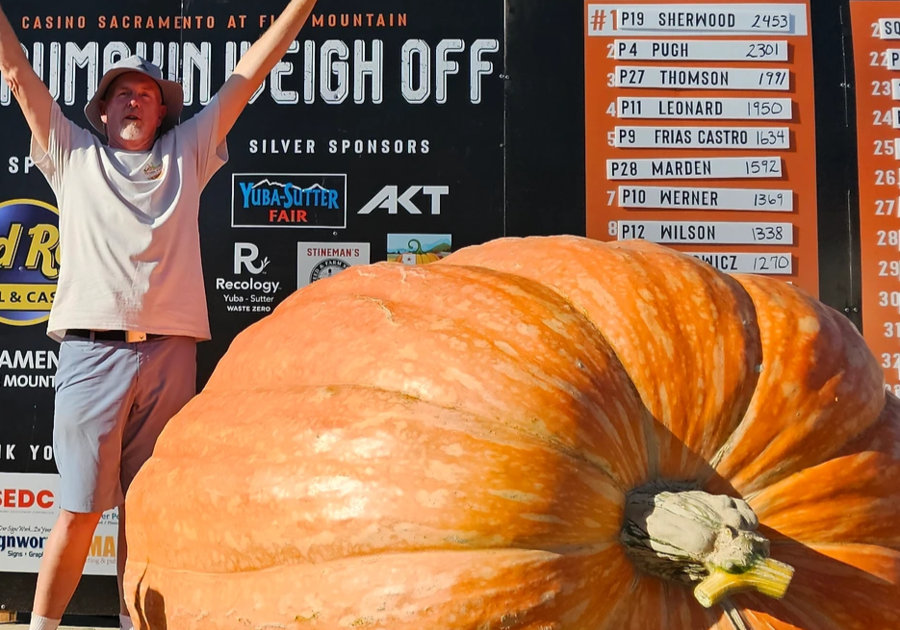 National Pumpkin Weigh-off at Bishop's Pumpkin Farm