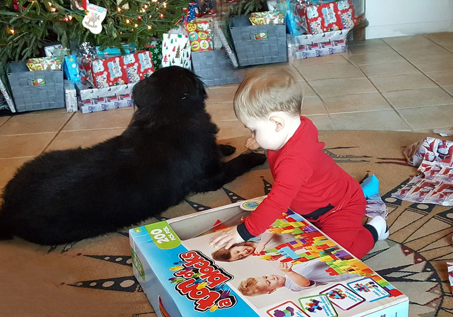 Baby Opening Toys on Christmas