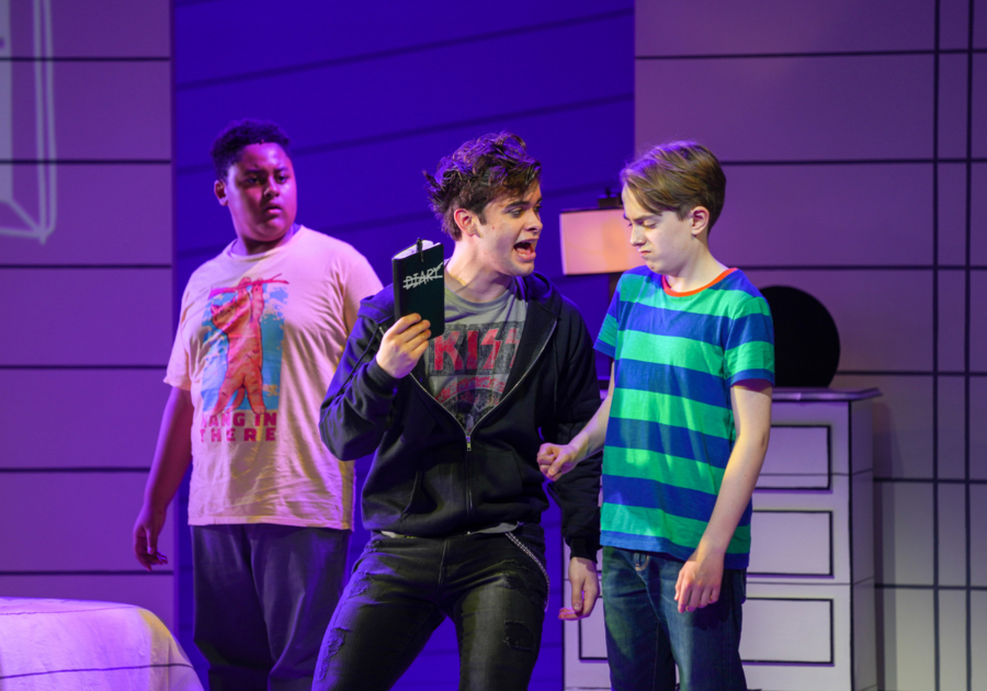 Diary of a Wimpy Kid the Musical