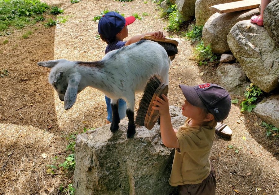 Young children with goat at Good Pickin Farm camp