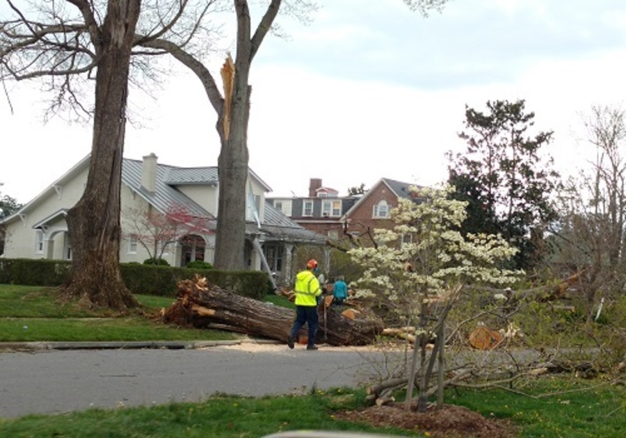 Tornado Aftermath in Lynchburg VA and Surrounding Area | Macaroni KID ...