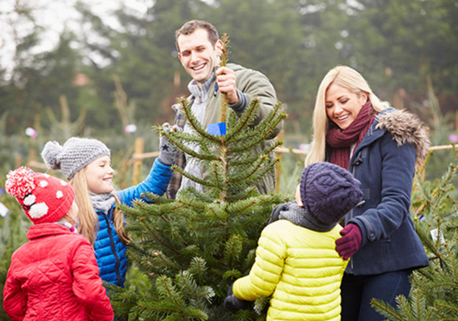 A family picks out a Christmas tree at a tree farm