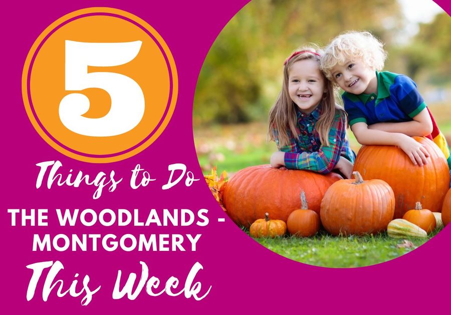 Five things to do in the woodlands montgomery texas north Houston area families kids free family fun magnolia conroe spring parents