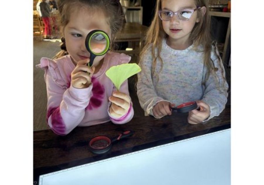 two kids looking at a leaf with a magnifying glass