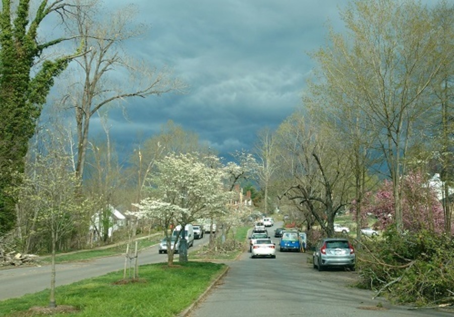 Tornado Aftermath in Lynchburg VA and Surrounding Area | Macaroni KID ...