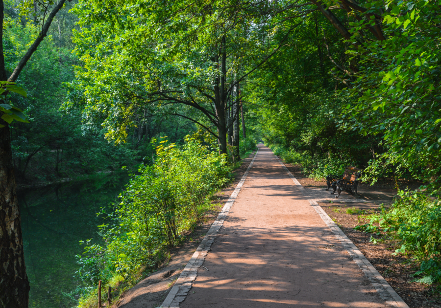 Local Walk Paths