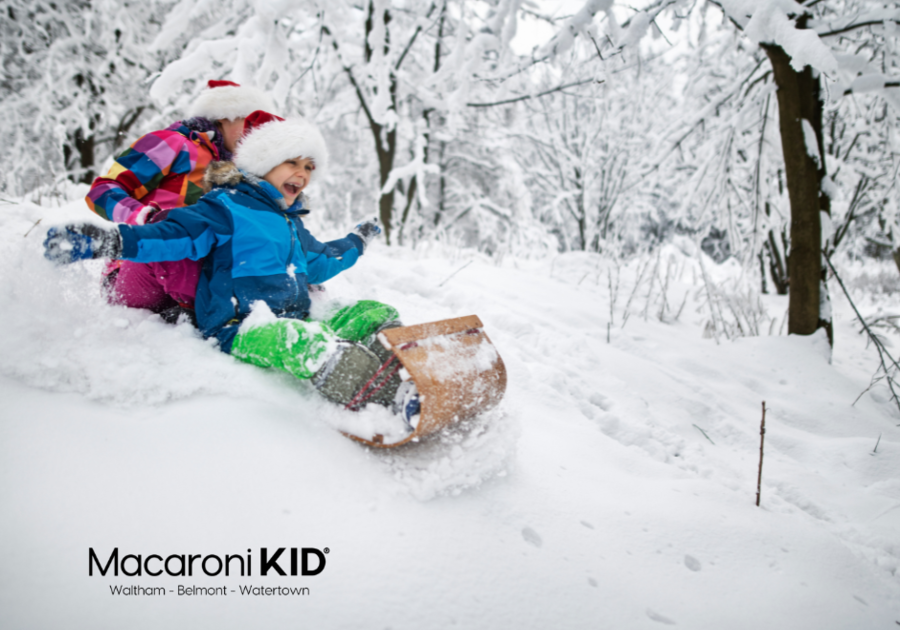 Little boy and his elder sister are tobogganing in forest on Christmas. Kids are 12 and 8 years old. Cold winter day. Shot with Nikon D850