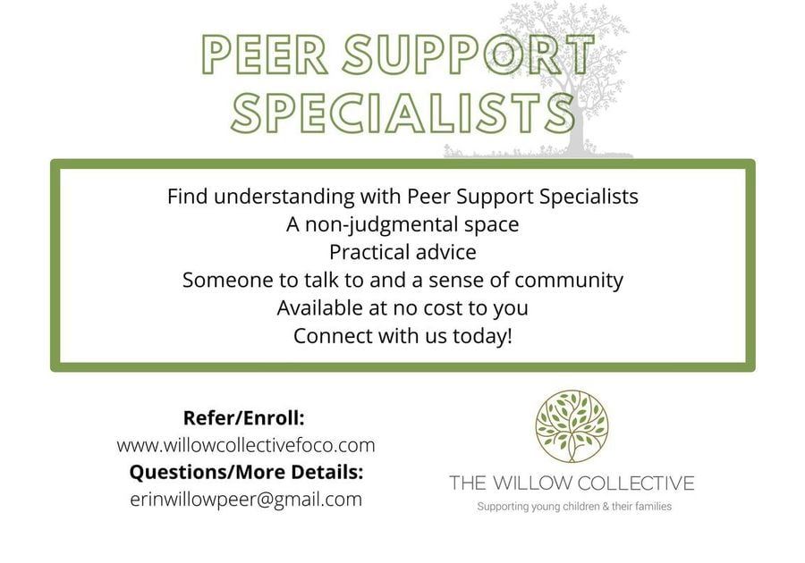 Peer Support Specialists The Willow Collective Promo Ad