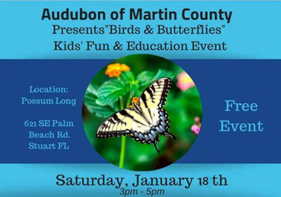 2020 Audubon of Martin County Birds & Butterflies