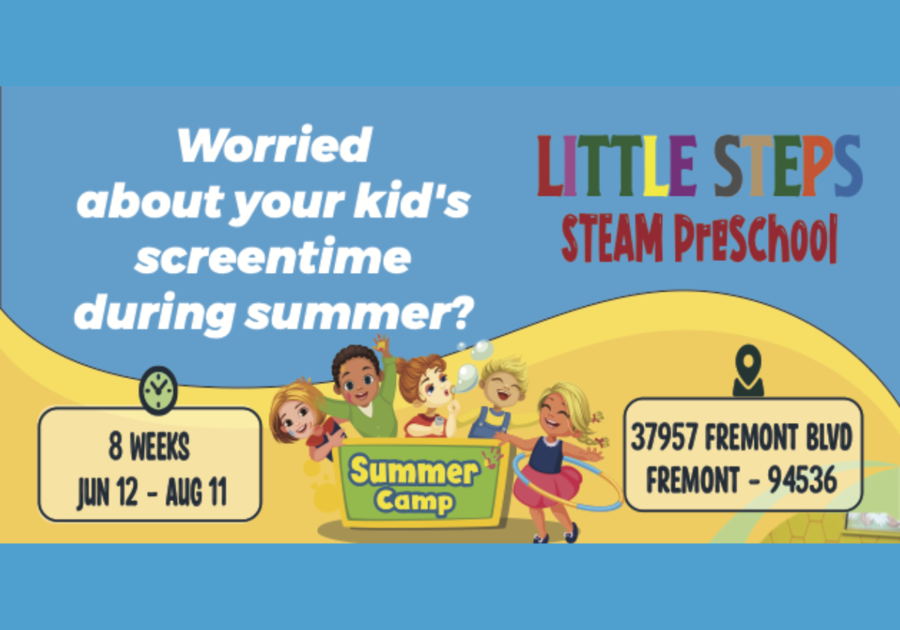 Summer Camps for Children 3-6 Years at Little Steps STEAM Preschool