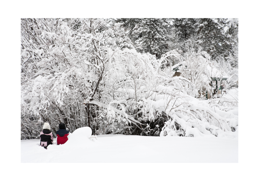 Kids Snow Winter Fun Playing Winter Cold