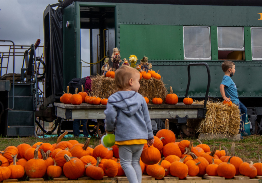 Pumpkin Trains