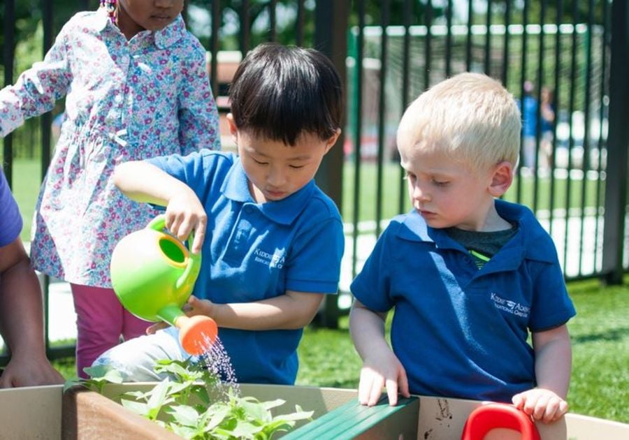 boys gardening