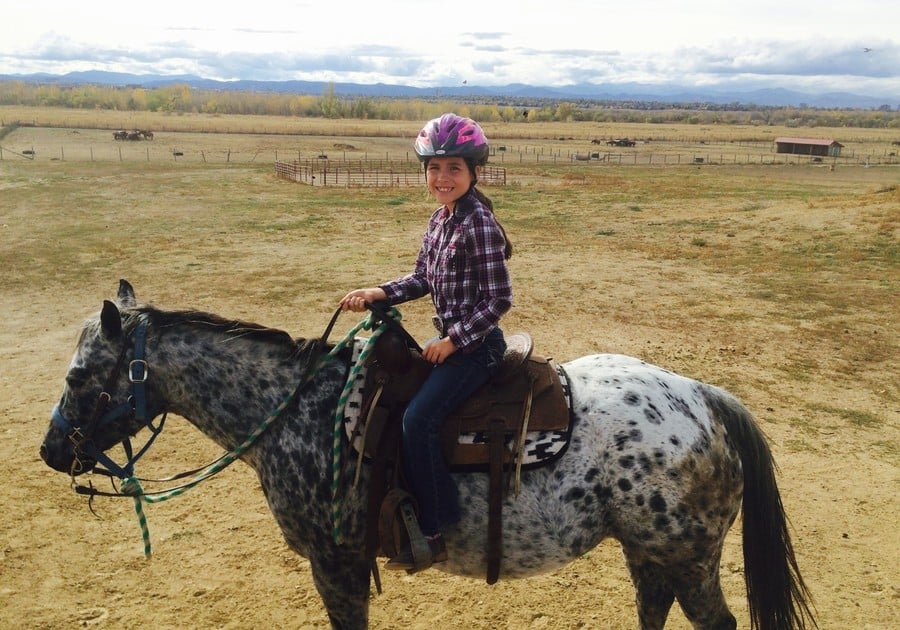 Big Horn Stables