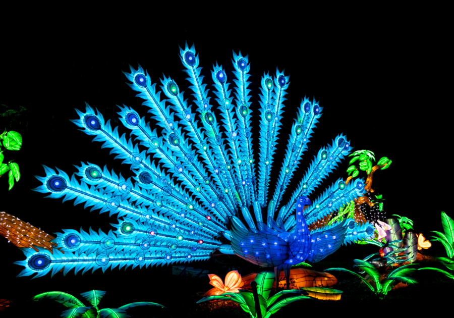 "Glow Wild" Illuminated Displays at Connecticut's Beardsley Zoo