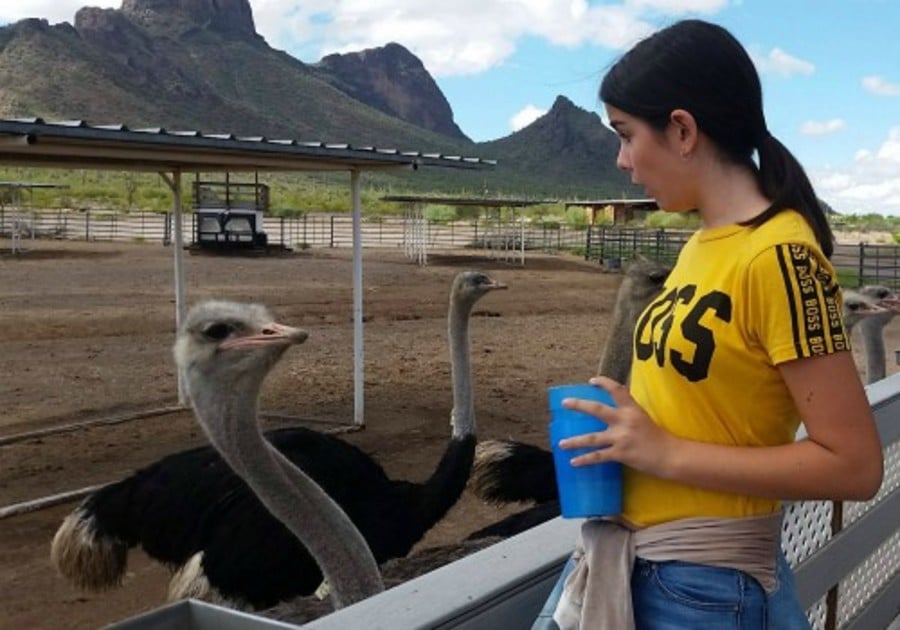 Girl with Ostrich at Rooster Cogburn Ostrich Ranch