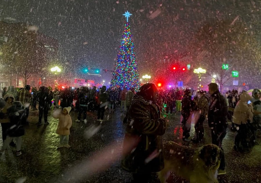 Snow and Tree lighting