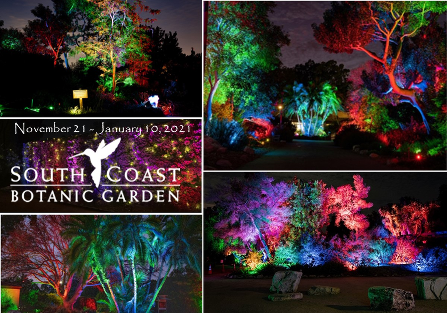 South Coast Botanic Garden GLOW A NEW Nighttime Walking Experience   7c899804 B945 40b5 8a1a Cb13fcbb2f1a 