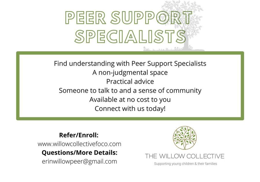 Peer Support Specialists The Willow Collective Promo Ad