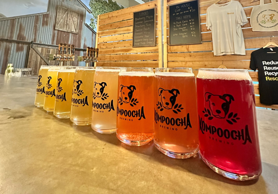 Kombucha Brewery Temecula Dog Friendly Rescues