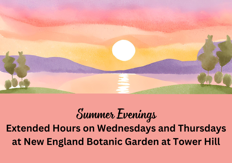 Text reads Summer Evenings at New England Botanic Garden at Tower Hill, with a sunset watercolor background