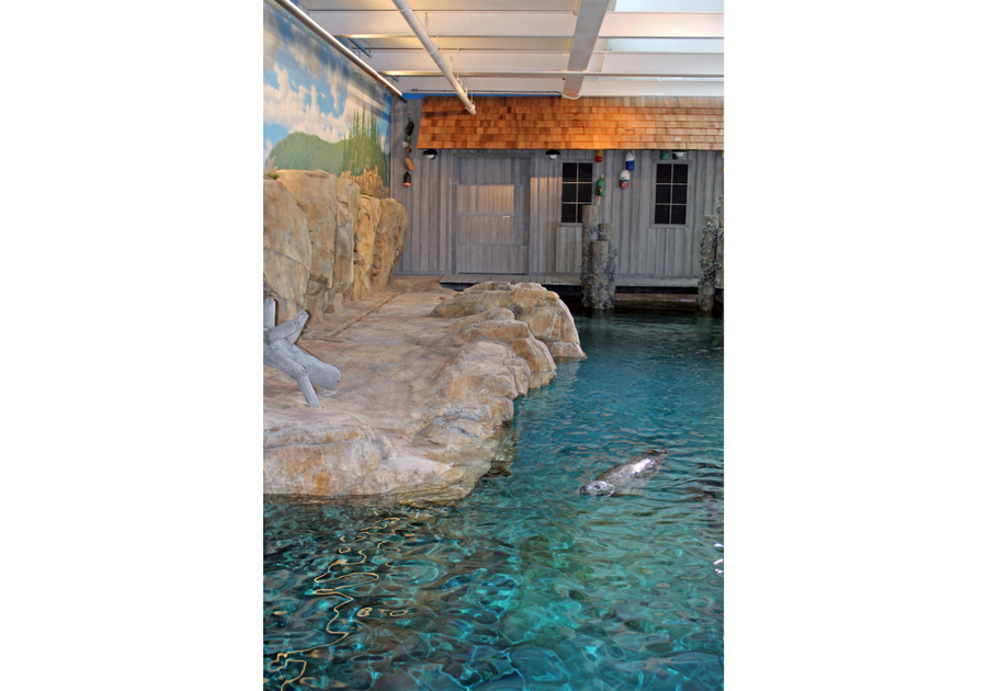 Maritime Aquarium at Norwalk