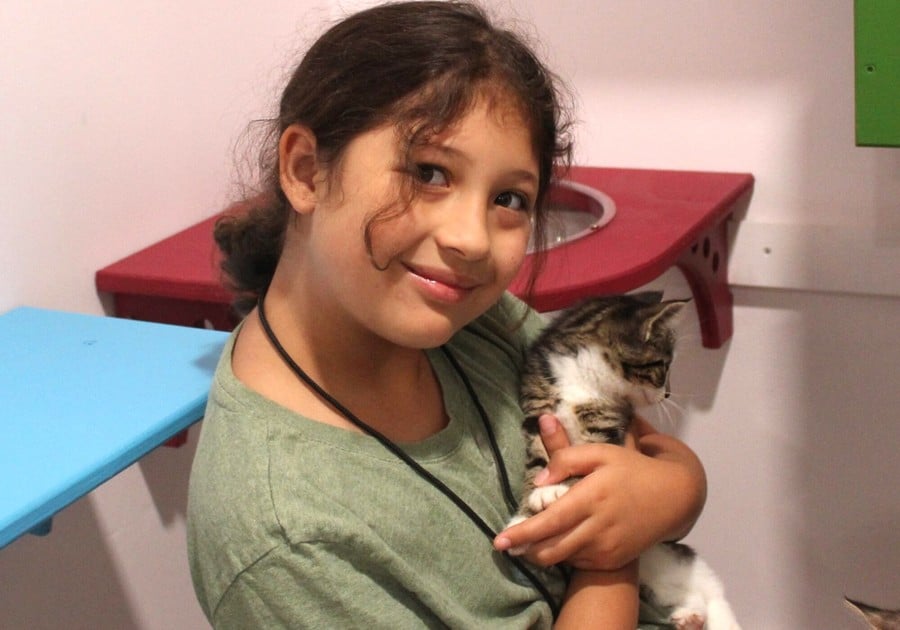 girl holding kitten