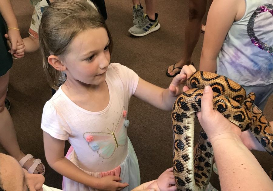 Apalachin Library Summer Reading Program Apalachin NY Tioga County