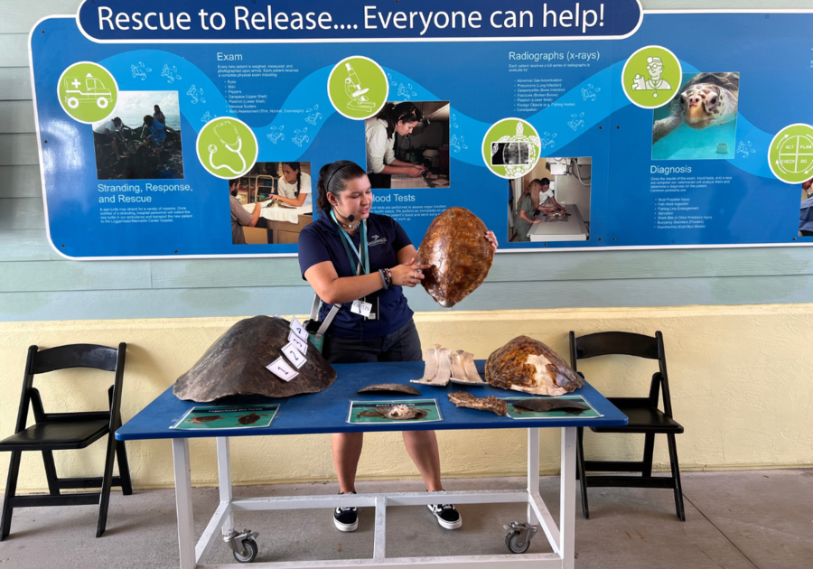 Tour Guide at Loggerhead Marinelife Center