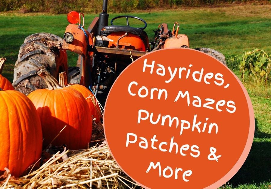 Hayrides Pumpkin Patches in Chester County