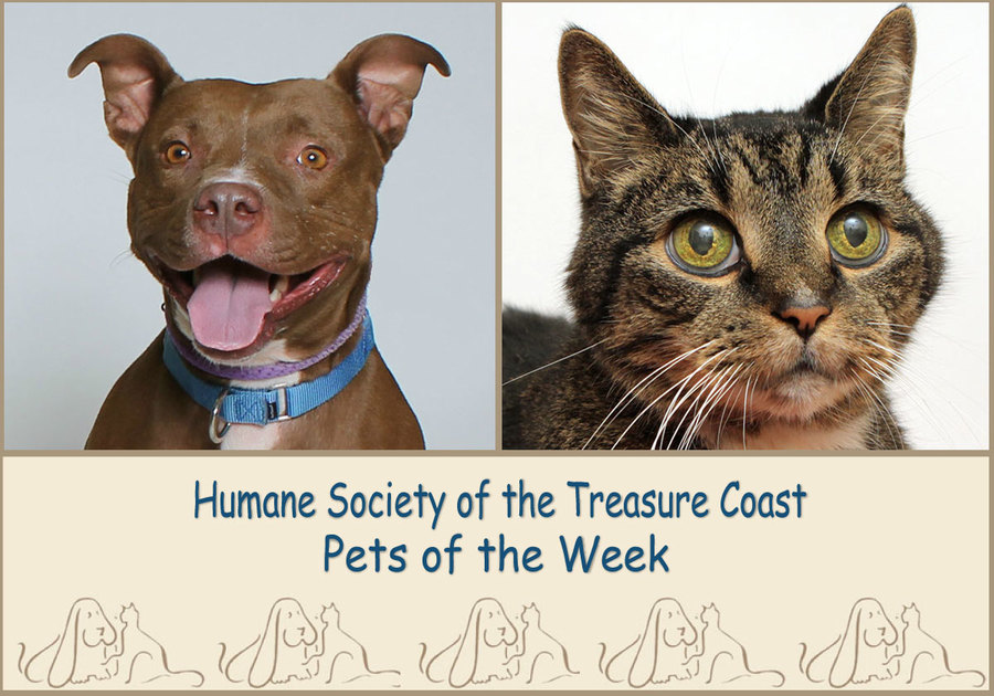 HSTC Macaroni Pets of the Week, Sasha and Walter