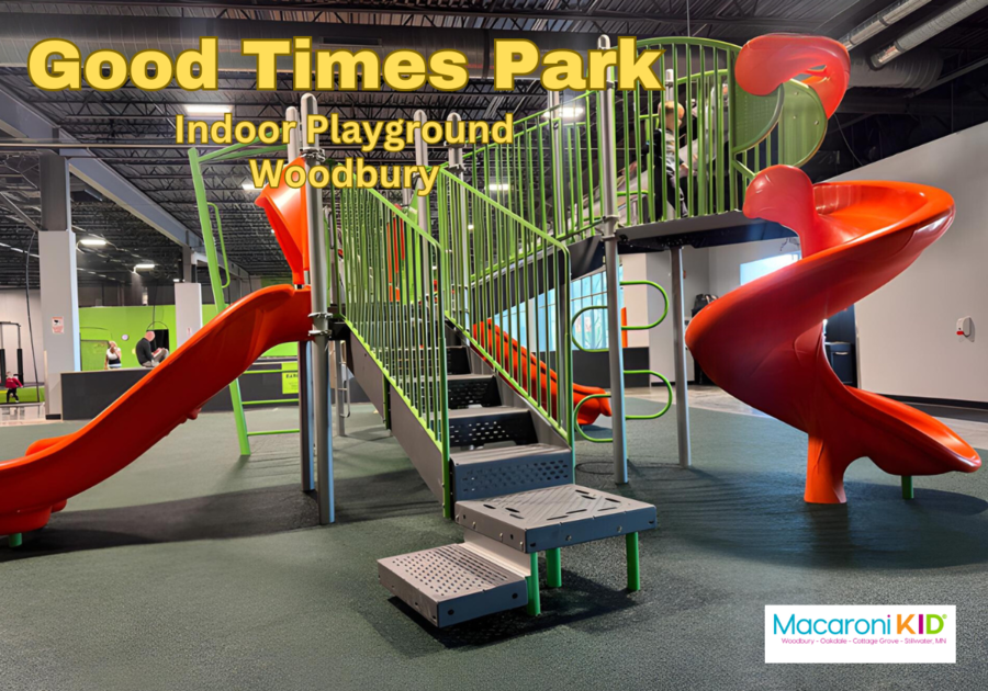 Good Times Park Indoor Playground Cover with playground structure