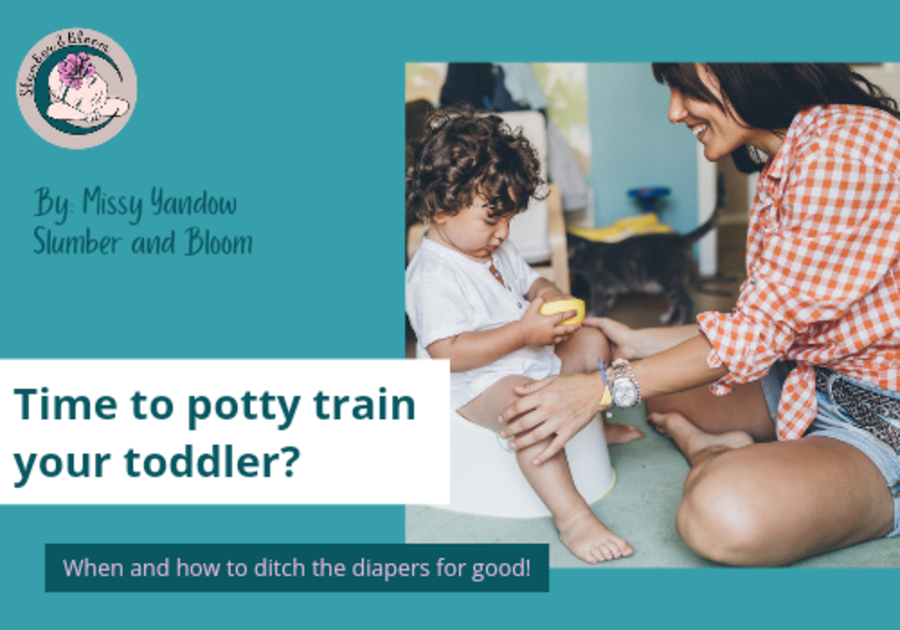 time-to-potty-train-your-toddler-macaroni-kid-pittsford-se-rochester