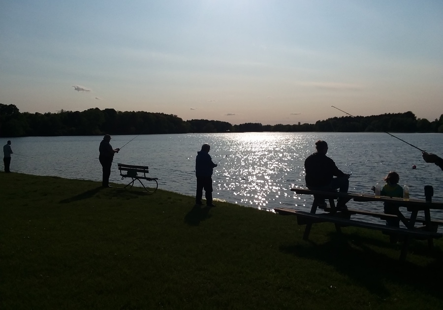 Sunset Family Fishing at Marion Pond