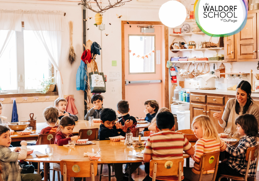 The Waldorf School of Dupage