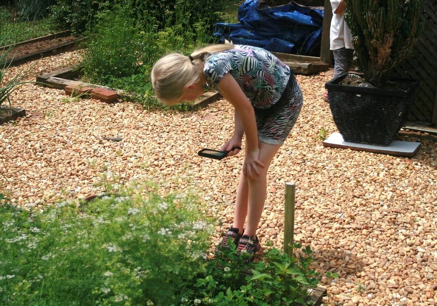 photo of female camper using magnifying glass in garden