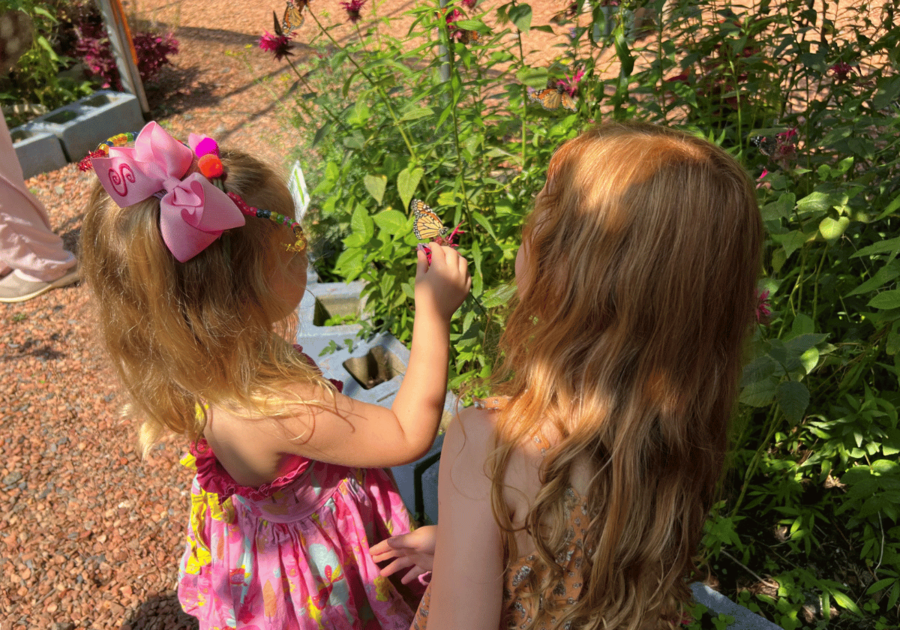 Children viewing butterflies at Smith Gilbert Gardens