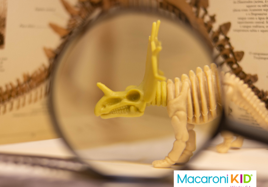 Magnified toy triceratops skeleton in front of book with drawing of skeleton