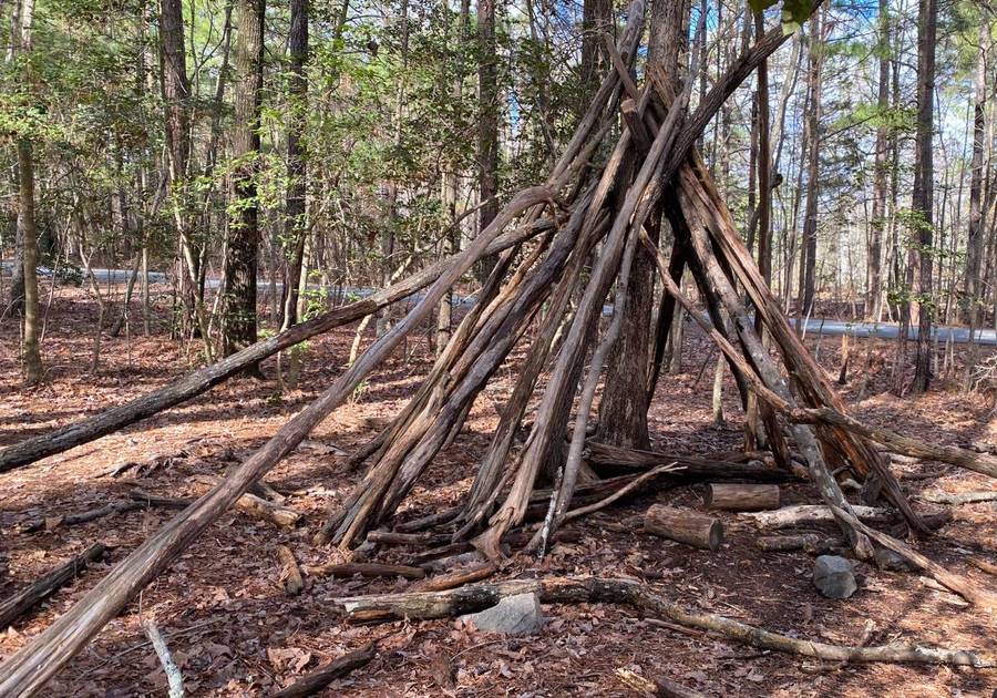 Piney Wood Park Makeshift Shelter