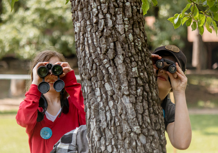 two children peeking from behing a tree using binoculars