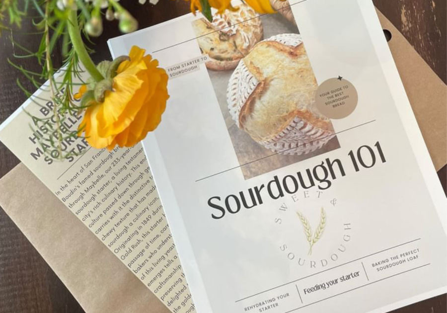 Sourdough bread and starter PDF