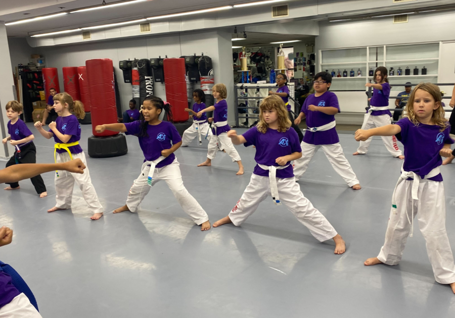 AmeriKick Martial Arts Summer Camp