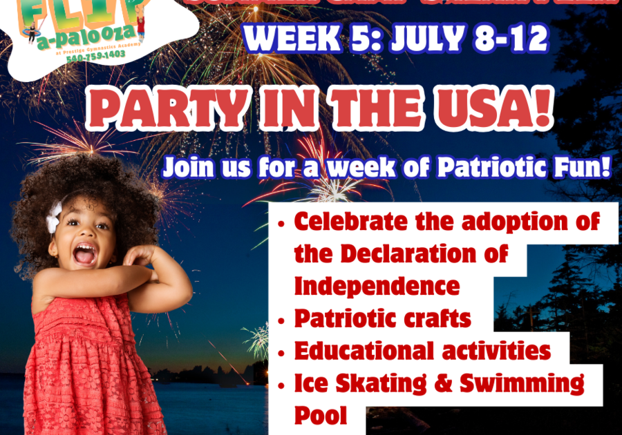 PARTY IN THE USA 